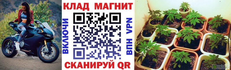 Сколько стоит Сосновый Бор ГАШ  COCAIN  МЕФ  Канабис 