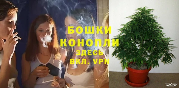 эйфоретик Кинешма