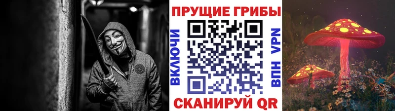 Галлюциногенные грибы Magic Shrooms  МЕГА рабочий сайт  Сосновый Бор 