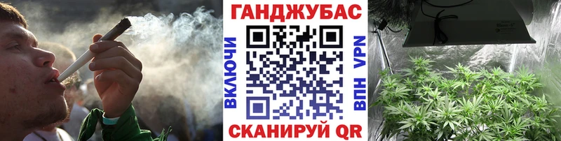 Бошки Шишки конопля  Сосновый Бор 